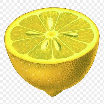 Lemon fruit png sticker vintage | Free PNG - rawpixel
