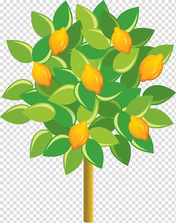Lemon Fruit tree Euclidean , Cartoon lemon transparent background PNG clipart