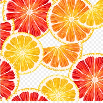 Lemon Grapefruit Orange - Lemon and grapefruit sliced ​​vector 