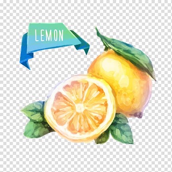 Lemon illustration, Watercolor painting Fruit Drawing Illustration, Fresh lemon transparent background PNG clipart