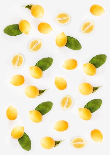 lemon isolated on white background.