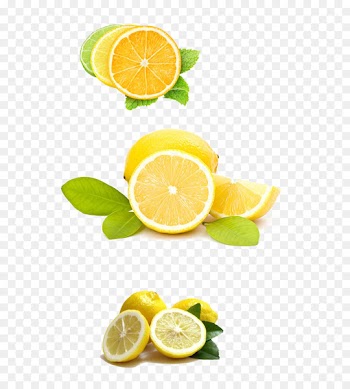 Lemon juice Variegated pink lemon Tonic water Lemon battery - Fresh lemon 