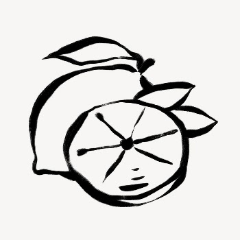 Lemon line art, fruit doodle | Free Photo - rawpixel