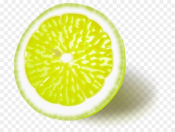Lemon meringue pie Clip art Portable Network Graphics Persian lime - lemon 
