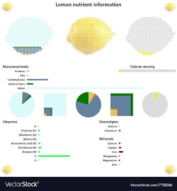 Lemon nutrient information vector image