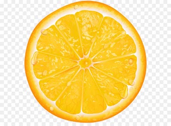 Lemon Orange slice Clip art - Orange Slice Transparent PNG Clip Art 