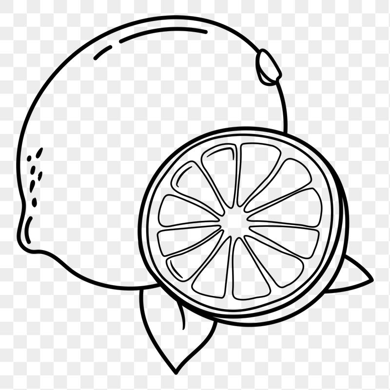 Lemon png doodle sticker, black | Free PNG Illustration - rawpixel