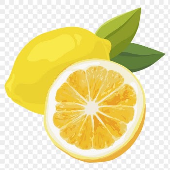 Lemon png sticker, fruit illustration | Free PNG - rawpixel