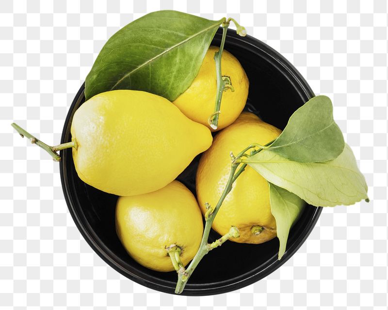 Lemon png sticker, fruit image, | Free PNG - rawpixel