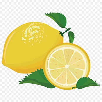 Lemon Portable Network Graphics Lime orange - lemon fruit 