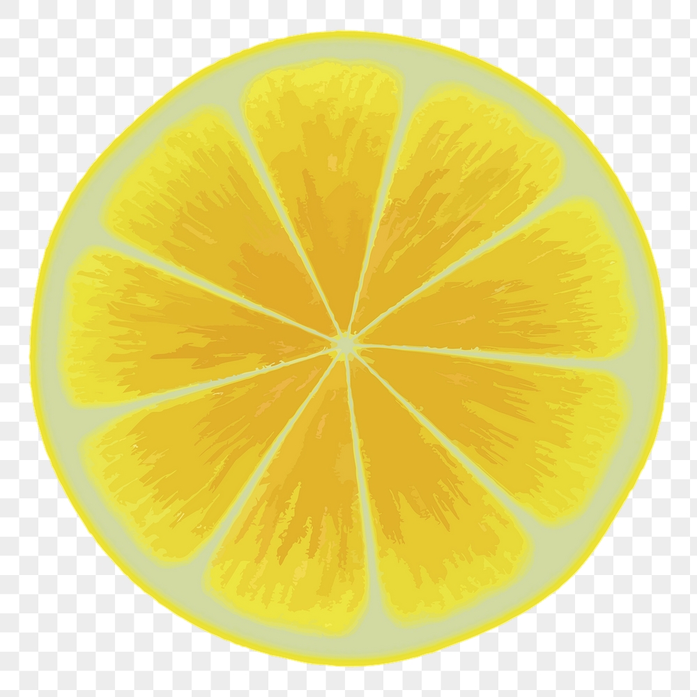 Lemon slice png sticker, fruit | Free PNG - rawpixel