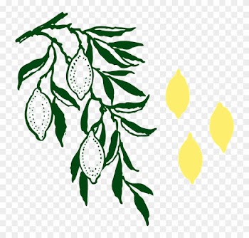 Lemon Tree Clipart - Custom Lemon Tree Shower Curtain
