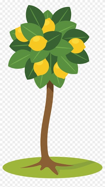 Lemon Tree Clipart - Lemon Tree Clipart