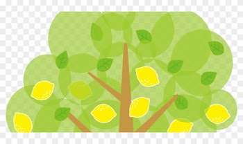 Lemon Tree Clipart - Lemon Tree Clipart