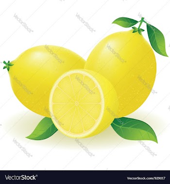 Lemon vector image