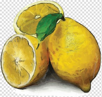 Lemon Watercolor painting Still life, lemon transparent background PNG clipart