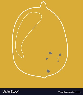 Lemon whole vector image