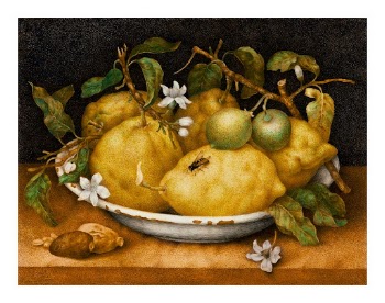 Lemons still life art print, | Free Photo - rawpixel