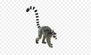 Lemurs, Baby Lemurs, Ringtailed Lemur, Lemur, Animal Figure PNG
