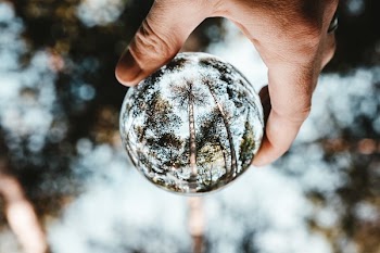 Lens Ball Tree