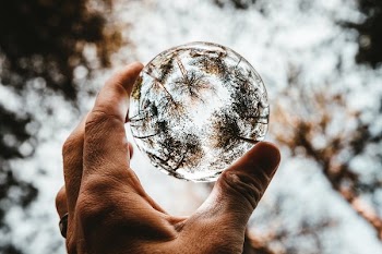 Lens Ball Trees Lookup