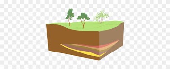 Lens Type Orebody - Tree