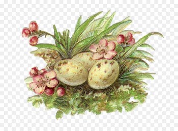 Lent - Easter Clip Art Easter Bunny Free content - easter 