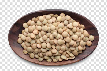 Lentils PNG Image