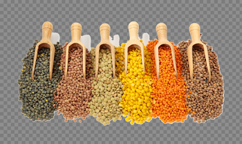 Lentils Transparent Image