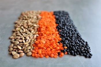 Lentils tricolora 