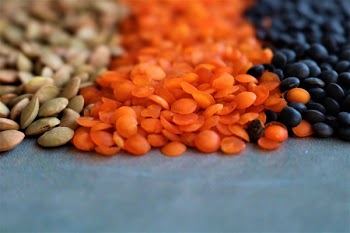 Lentils tricolora close up 
