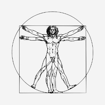Leonardo da Vinci inspired Vitruvian | Free Photo - rawpixel