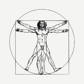 Leonardo da Vinci inspired Vitruvian | Free PSD - rawpixel
