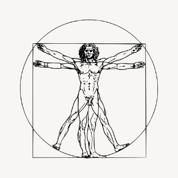 Leonardo da Vinci inspired Vitruvian | Free Vector - rawpixel