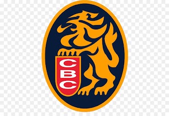 Leones del Caracas Caracas FC Navegantes del Magallanes Tigres de Aragua - baseball 