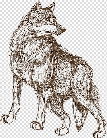 Leopard Animal Croquis Illustration, Animal Wolf sketch transparent background PNG clipart