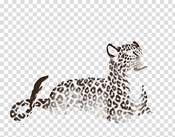 Leopard Cheetah Jaguar Cat Terrestrial animal, leopard transparent background PNG clipart