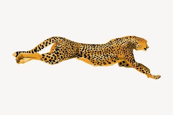 Leopard collage element, animal illustration | Free PSD - rawpixel