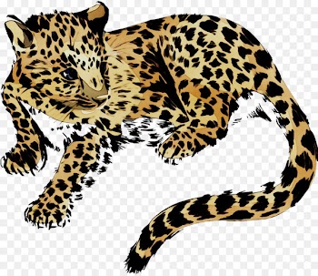 Leopard Jaguar Cheetah Tiger Pattern -  