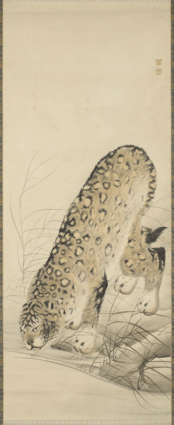 leopard leaning down to drink | Free Photo - rawpixel