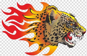 Leopard Lion Euclidean Animal, leopard transparent background PNG clipart