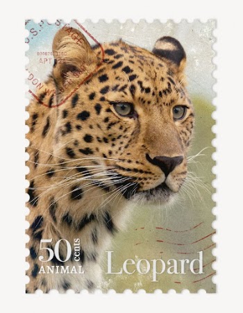 Leopard postage stamp, animal collage | Free PSD - rawpixel