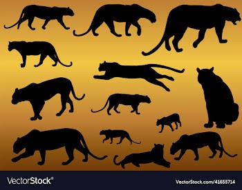 leopard predator animal silhouettes