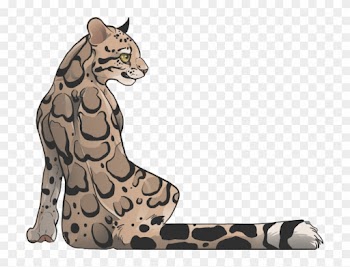 Leopard Seal Clipart Deviantart - Clouded Leopard Drawing