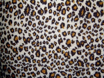 LeopardPrint.jpg