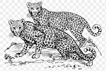 Leopards png clipart, animal hand | Free PNG - rawpixel