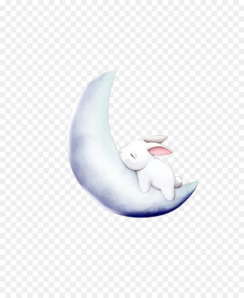 Leporids Moon Rabbit - Bunny sleeping on the moon 