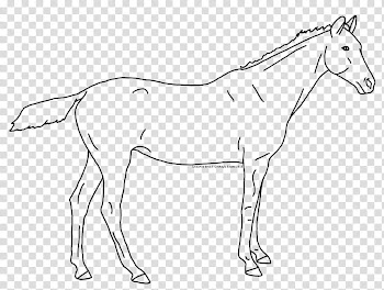 Leptailequus lines, horse artwork transparent background PNG clipart