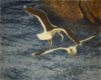 Lesser Black-backed Gulls Flying (1903) | Free Photo - rawpixel