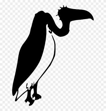 Let's Learn About The Alphabet - Custom Blue Vulture Silhouette Shower Curtain